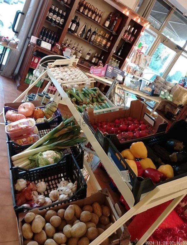 negozio in affitto a Carmignano