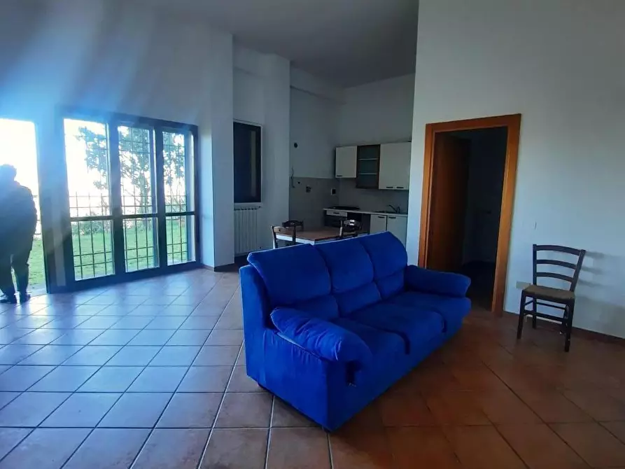 appartamento in affitto a Carmignano