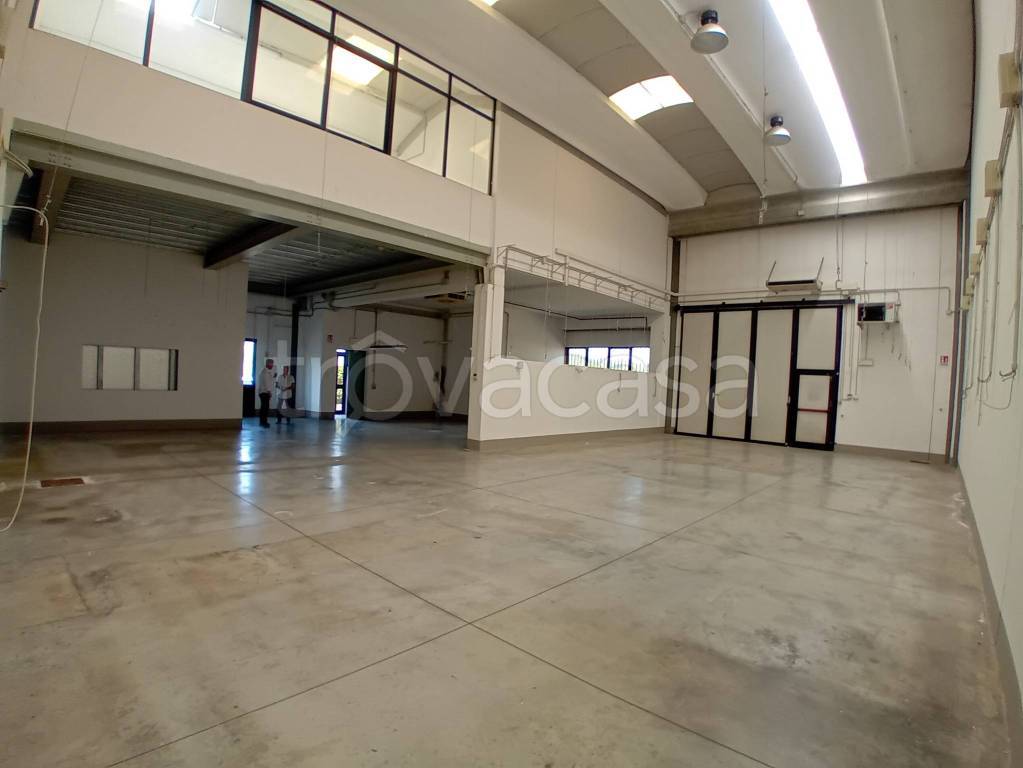 locale commerciale in affitto a Carmignano