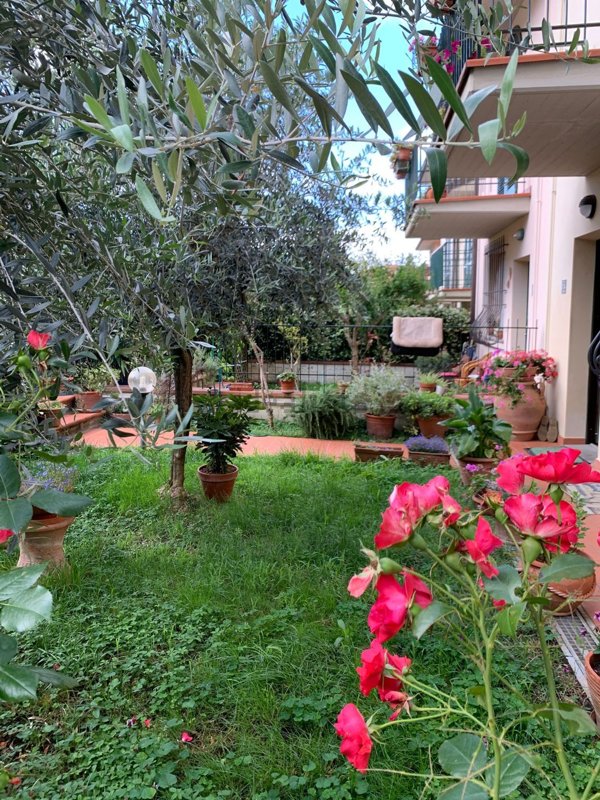 appartamento in affitto a Carmignano