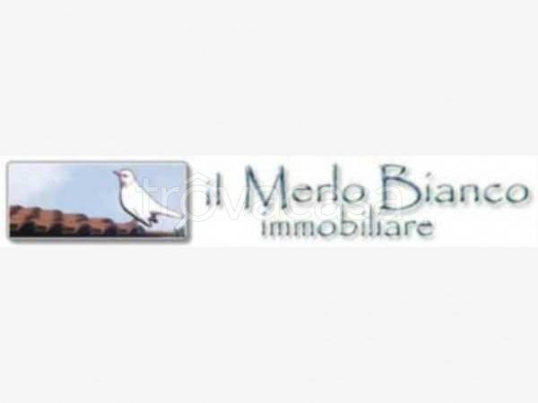 appartamento in affitto a Carmignano