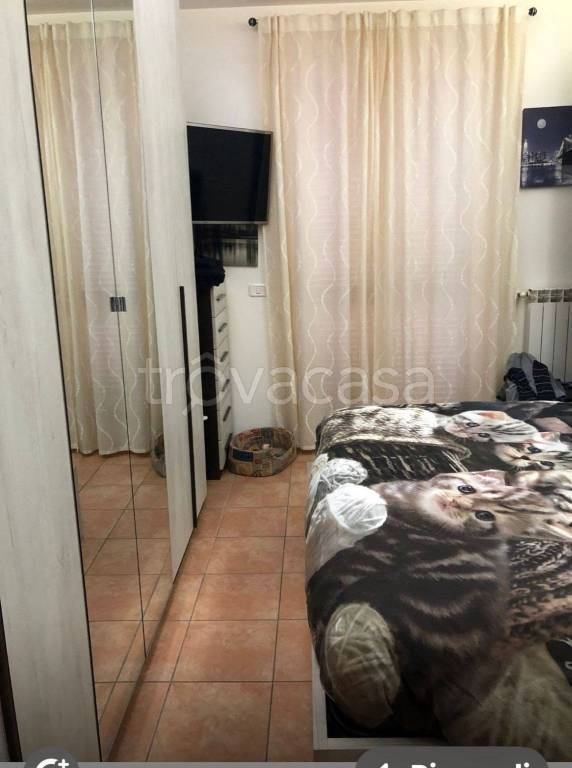 appartamento in affitto a Carmignano