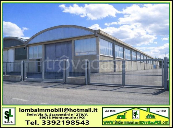 immagine annuncio 0 di 1