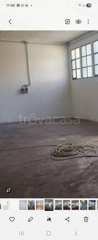 locale commerciale in affitto a Montemurlo