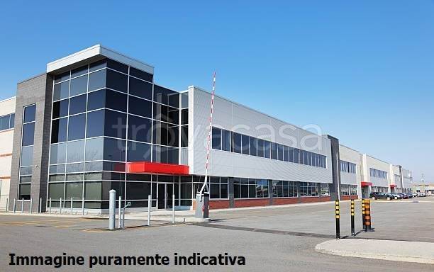 locale commerciale in affitto a Montemurlo