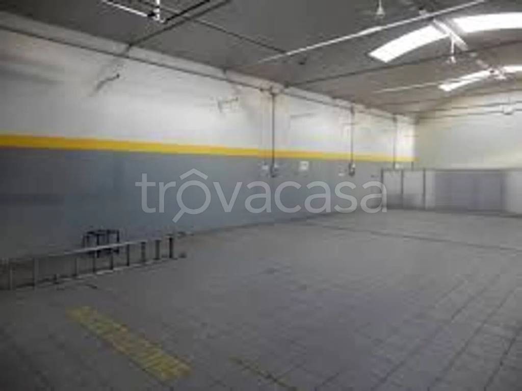 locale commerciale in affitto a Montemurlo