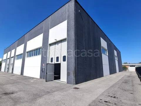 locale commerciale in affitto a Montemurlo