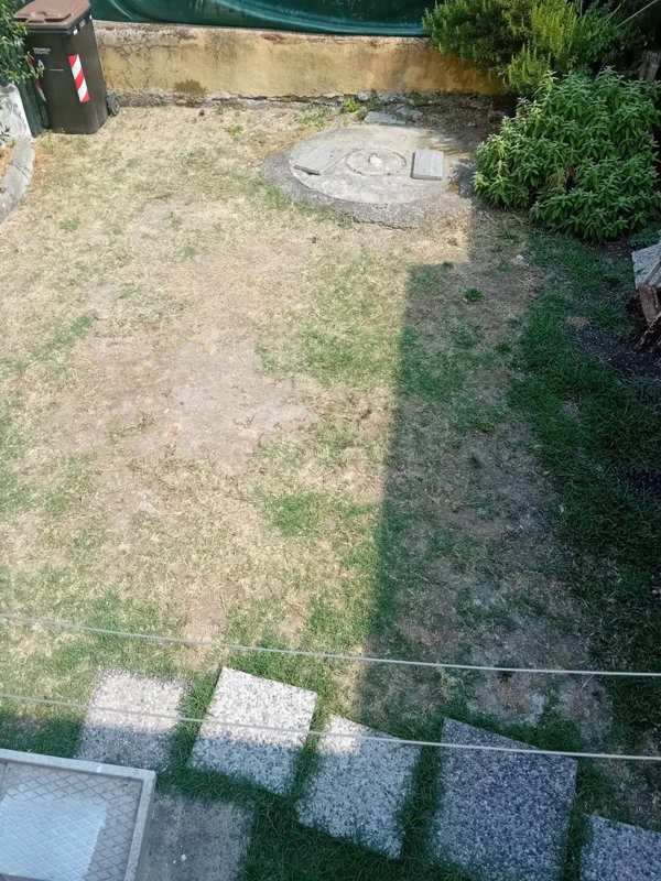 appartamento in affitto a Poggio a Caiano