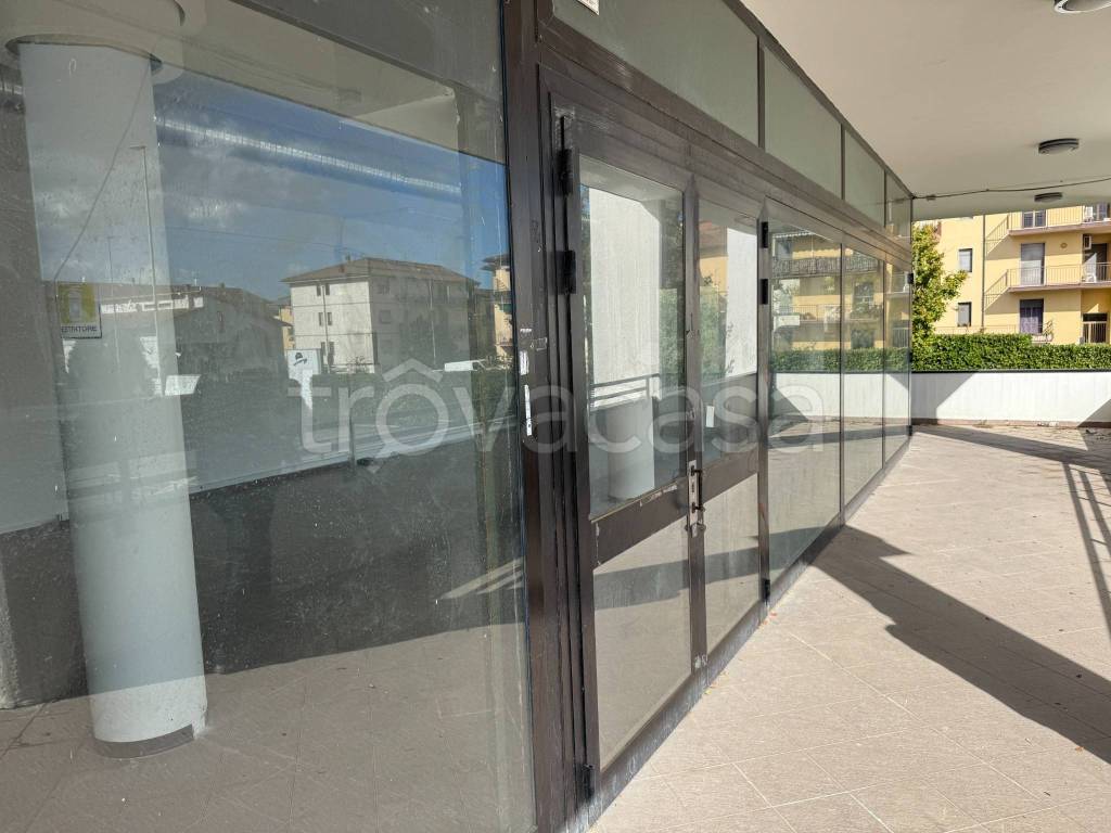 negozio in affitto a Poggio a Caiano
