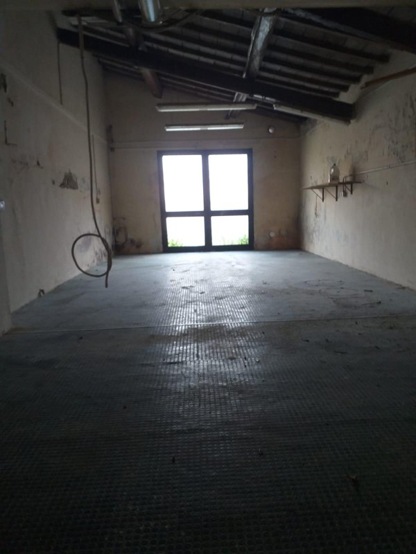 appartamento in affitto a Poggio a Caiano