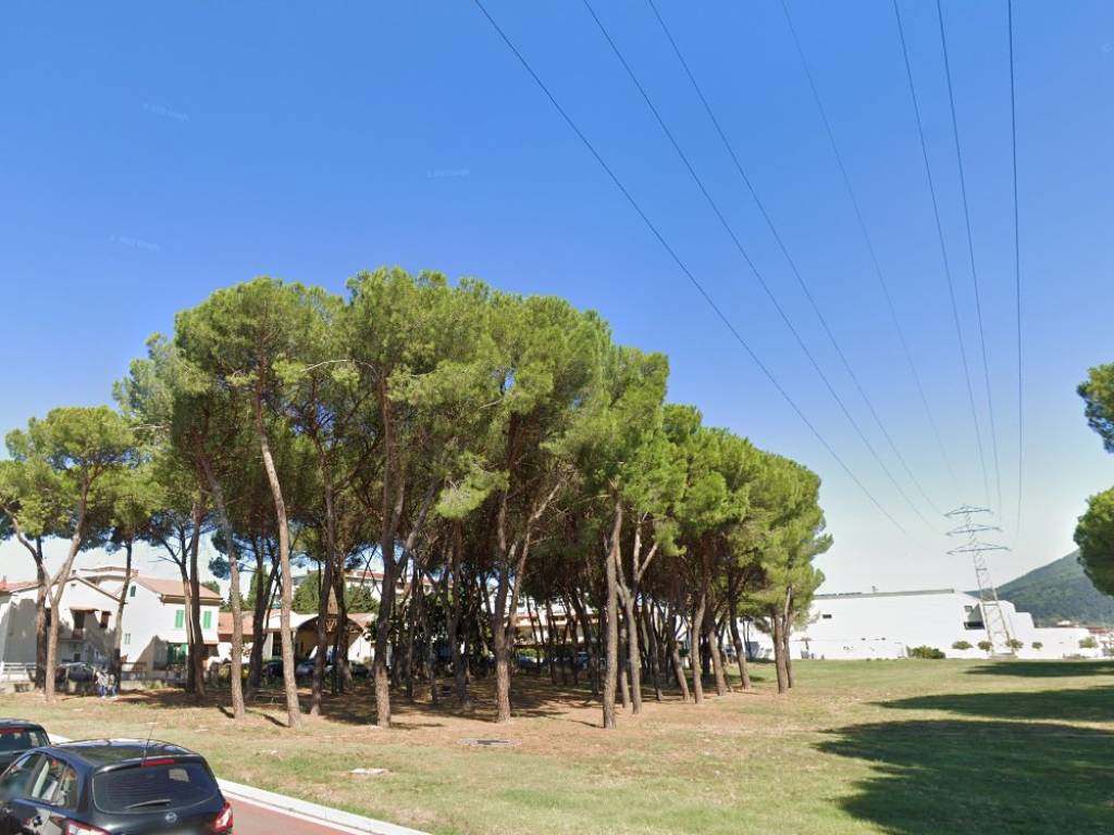 negozio in affitto a Prato in zona Grignano