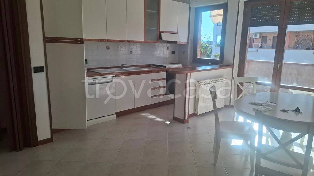 appartamento in affitto a Prato