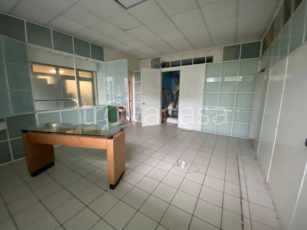 negozio in affitto a Prato