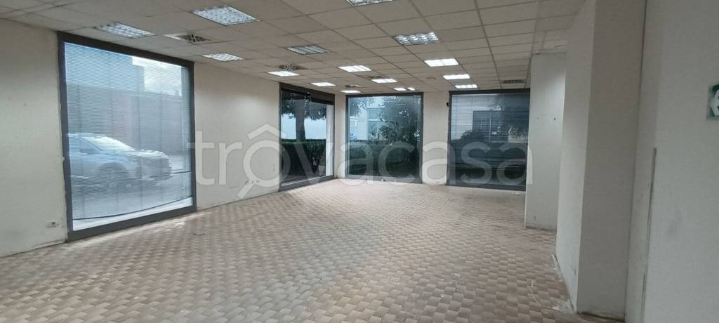 negozio in affitto a Prato