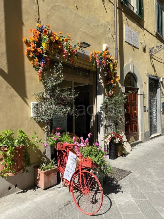 negozio in affitto a Prato