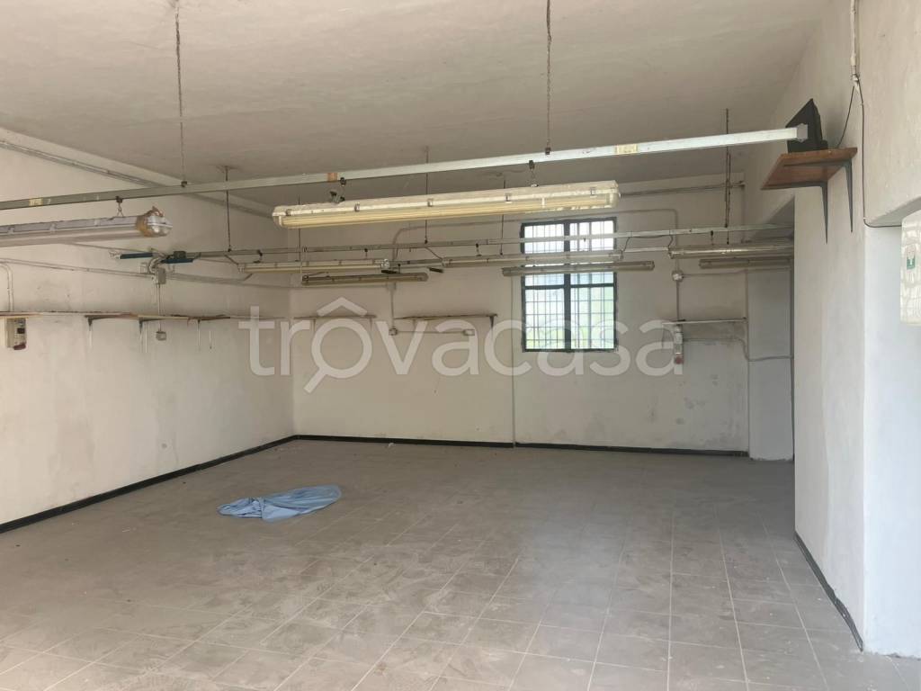 locale commerciale in affitto a Prato in zona Narnali