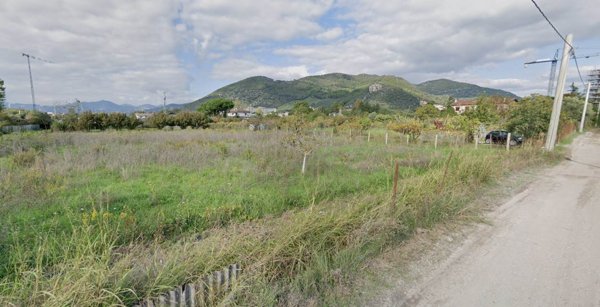 terreno agricolo in affitto a Cutro in zona San Leonardo