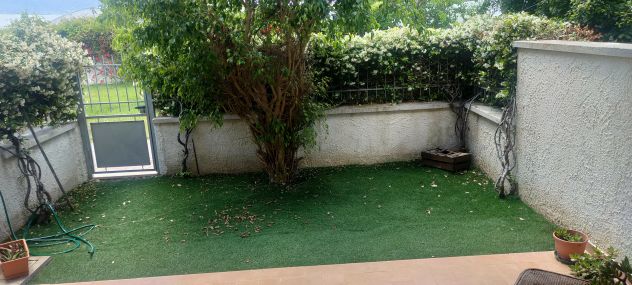 appartamento in affitto a Pizzo