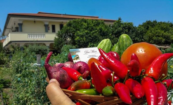 appartamento in affitto a Ricadi in zona Capo Vaticano
