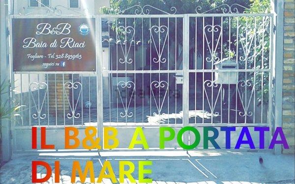 appartamento in affitto a Ricadi