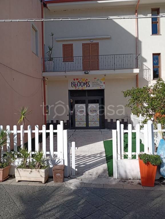 trivano in affitto a Vibo Valentia in zona Vibo Marina