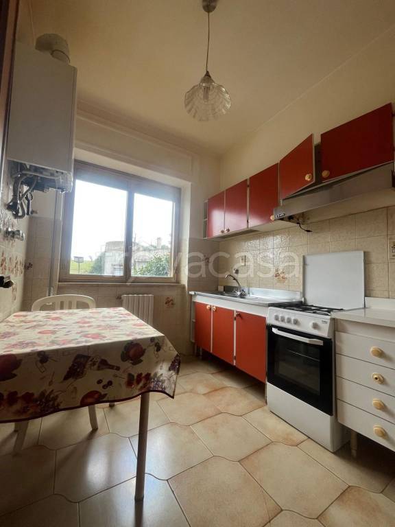 appartamento in affitto a Vibo Valentia