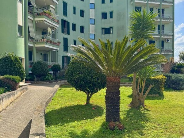 appartamento in affitto a Vibo Valentia