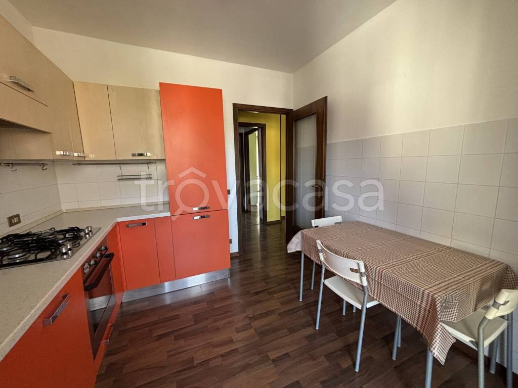 appartamento in affitto a Domodossola