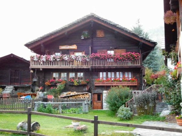 appartamento in affitto a Macugnaga in zona Staffa