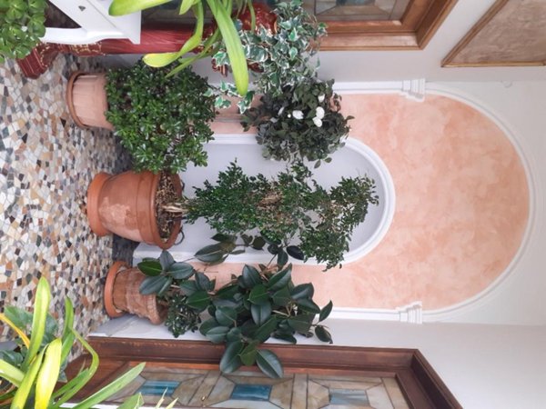 casa indipendente in affitto a Verbania in zona Biganzolo