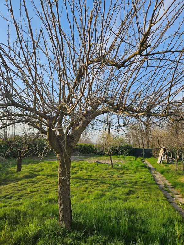 terreno agricolo in affitto a Bernareggio