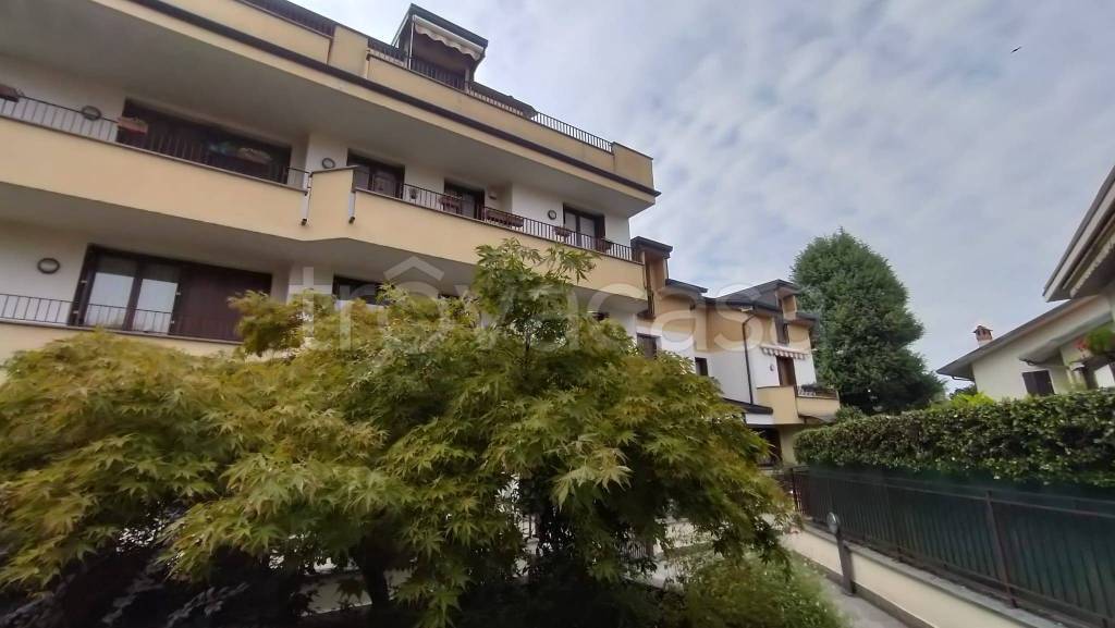 appartamento in affitto a Biassono