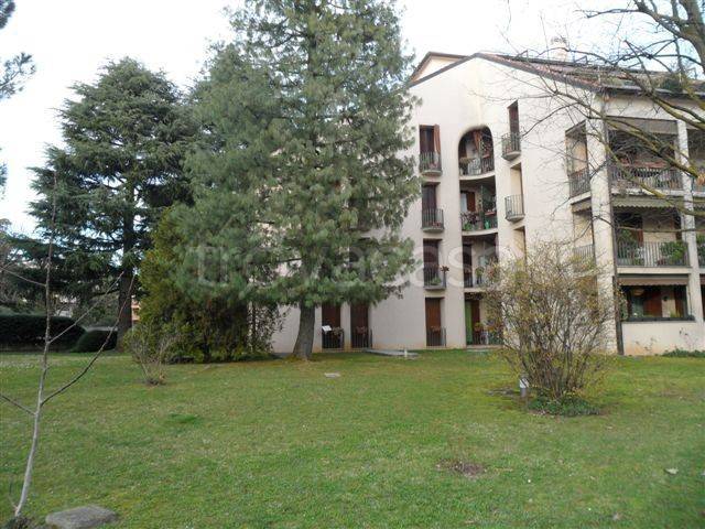 appartamento in affitto a Biassono