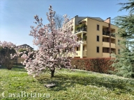 appartamento in affitto a Biassono