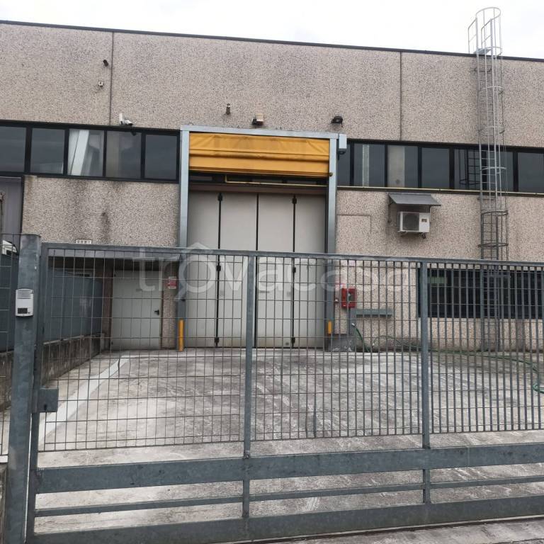 appartamento in affitto a Briosco
