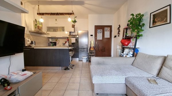 appartamento in affitto a Brugherio