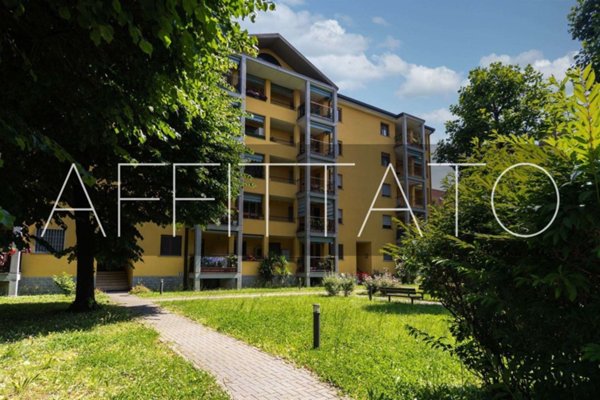 appartamento in affitto a Brugherio