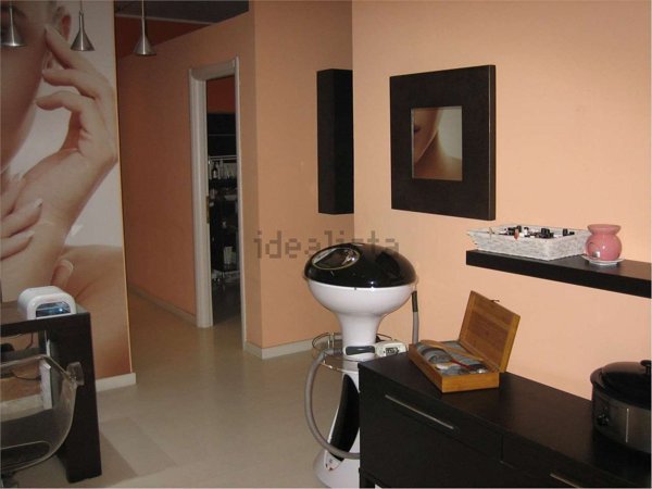 casa semindipendente in affitto a Cesano Maderno