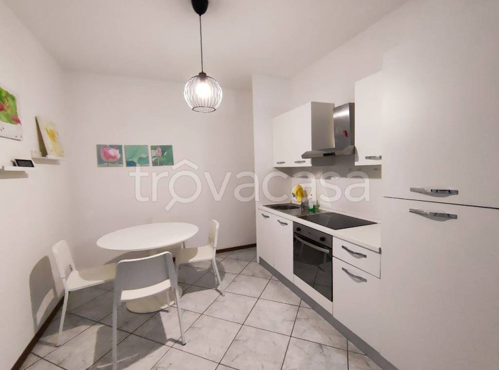 appartamento in affitto a Cesano Maderno