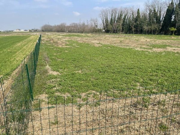 terreno agricolo in affitto a Concorezzo
