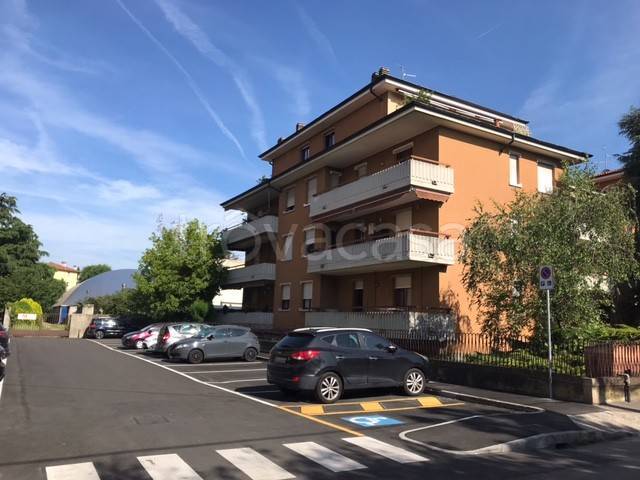 immagine annuncio 0 di 15
