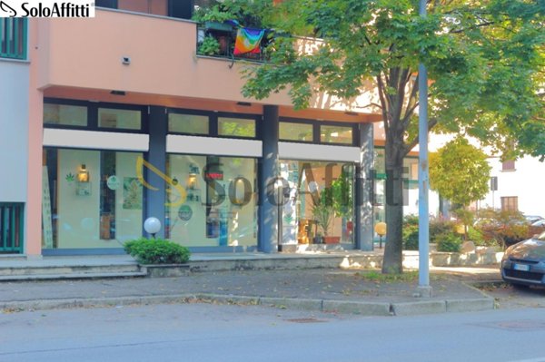 appartamento in affitto a Desio