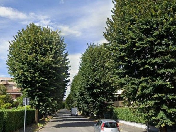 negozio in affitto a Desio