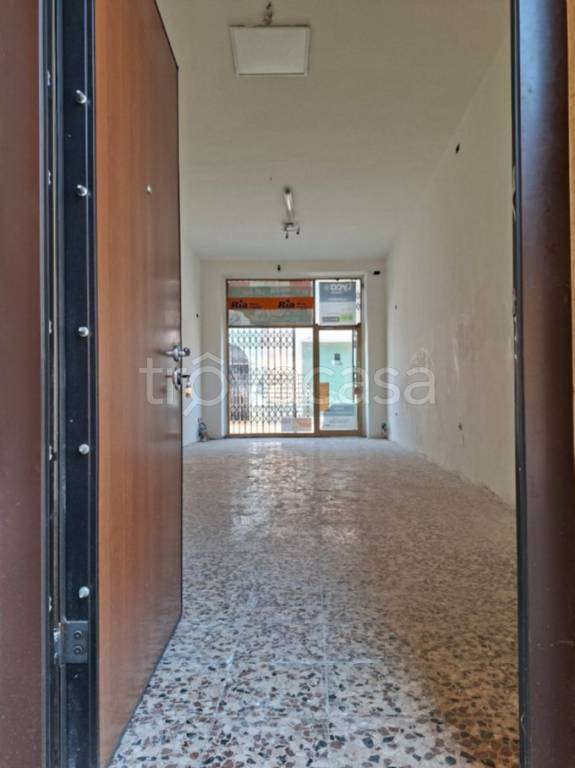 immagine annuncio 0 di 12