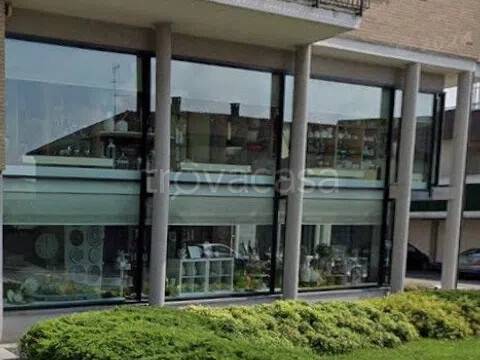 negozio in affitto a Giussano in zona Birone