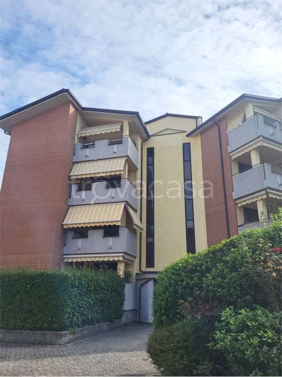 appartamento in affitto a Limbiate