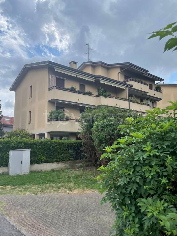 appartamento in affitto a Lissone