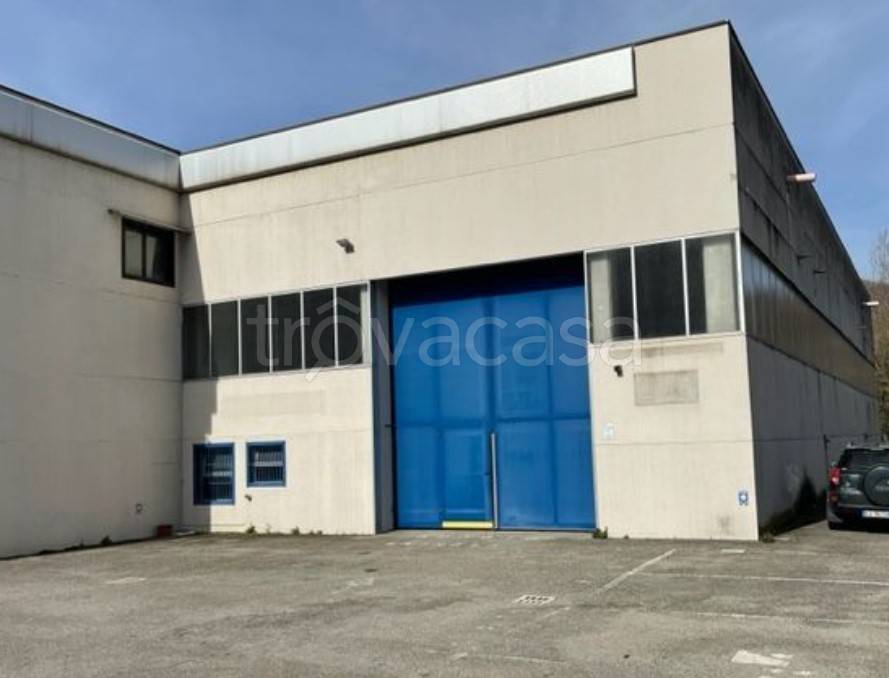 immagine annuncio 0 di 12