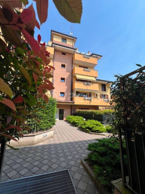 appartamento in affitto a Lissone