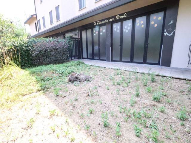 immagine annuncio 0 di 15